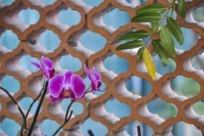 Enlarge photo 14