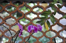 Enlarge photo 15
