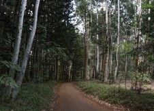 Enlarge photo 2