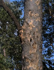 Enlarge photo 17