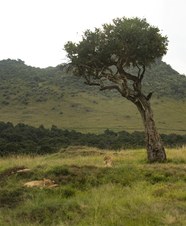 Enlarge photo 94