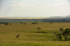 Enlarge photo 93