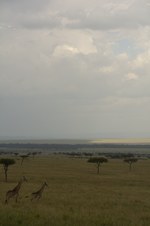 Enlarge photo 91