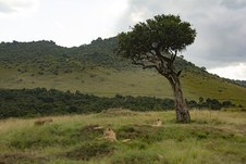 Enlarge photo 89