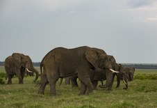 Enlarge photo 69