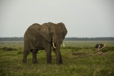 Enlarge photo 67