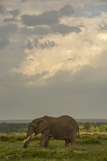 Enlarge photo 58