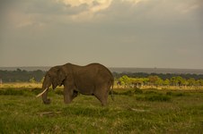 Enlarge photo 56
