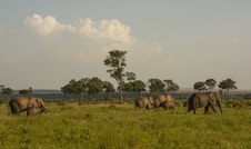 Enlarge photo 51