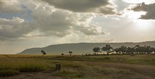 Enlarge photo 49