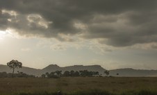 Enlarge photo 48