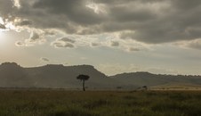 Enlarge photo 47
