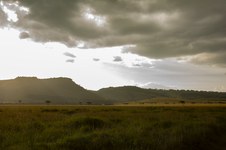 Enlarge photo 46