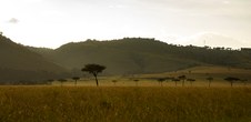 Enlarge photo 45