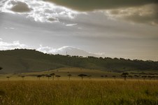 Enlarge photo 44