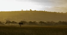 Enlarge photo 43