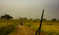 Enlarge photo 41