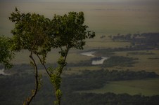 Enlarge photo 30