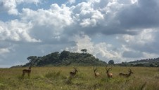 Enlarge photo 170