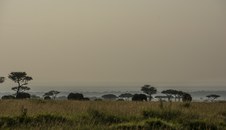 Enlarge photo 154