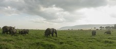 Enlarge photo 163