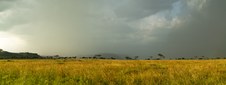 Enlarge photo 165