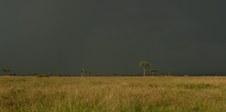 Enlarge photo 164