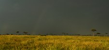 Enlarge photo 102