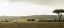 Enlarge photo 100