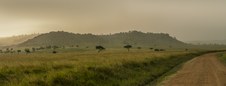 Enlarge photo 99