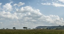 Enlarge photo 160