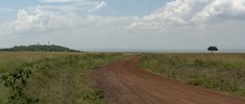 Enlarge photo 117