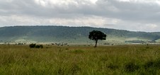 Enlarge photo 125