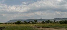 Enlarge photo 142