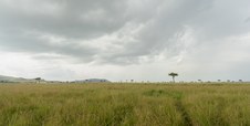 Enlarge photo 162