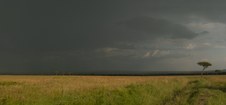 Enlarge photo 103