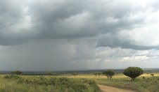 Enlarge photo 159