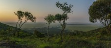 Enlarge photo 158