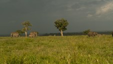 Enlarge photo 167