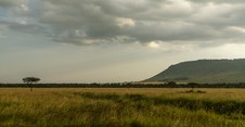 Enlarge photo 114