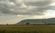 Enlarge photo 113