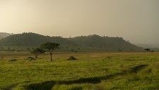 Enlarge photo 112