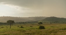 Enlarge photo 111
