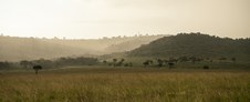 Enlarge photo 110