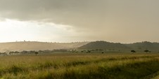 Enlarge photo 109
