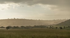 Enlarge photo 108