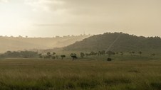 Enlarge photo 107