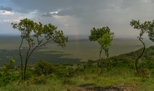Enlarge photo 106