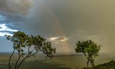 Enlarge photo 105