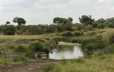 Enlarge photo 119